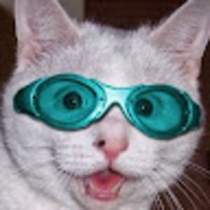 Meet your Posher, Joseph